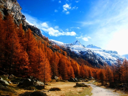 Fall Colors, Snowy Mountains - sky, fall, autumn, snow, mountains