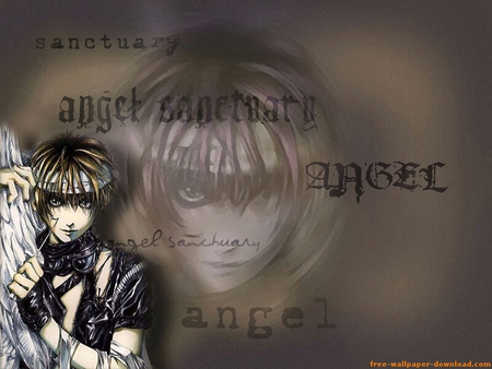 Angel Sanctuary - anime, wallpaper, sanctuary, angel