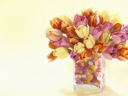 Tulip still life - flower, bouquet, tulip, stii life