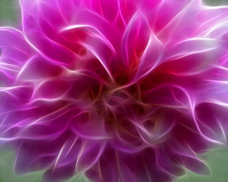 Goregous Dahlia - layers, flower, petals, pink