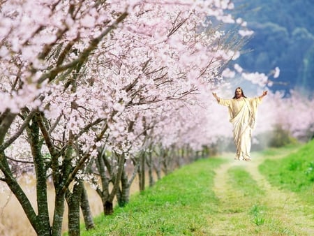 Spring of the spirit - christ, jesus, sakura, blossom, religion, christianity, god, tree, nature