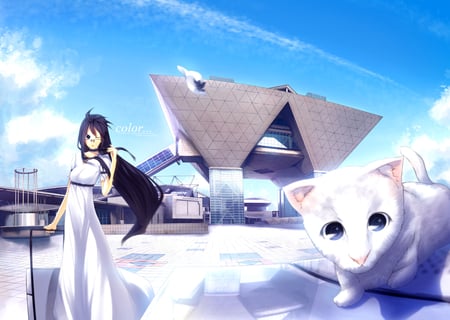 Enjoying the moment - sky, building, scenic, hat, cat, girl, long hair, anime girl, kawai, original, coach, anime, animal, cute, dress