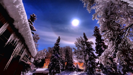 Bright is the Moon - fresh, trees, winter, icicles, covered, glowing, snow, beautiful, fallen