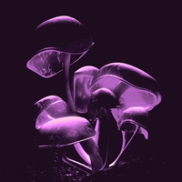 FLOURESCENT PURPLE