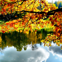 Autumn-HDR