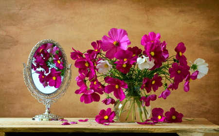 Still Life - pretty, romantic, romance, reflection, flowers, mirror, vase, for you, beautiful, photography, beauty, colors, lovely, with love, still life, petals, nature