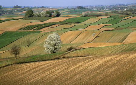 BEAUTIFUL - amazing, nice, coo, field, sky