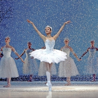 "Nutcracker", for your birthday, Alexandra ( Angelove) :)