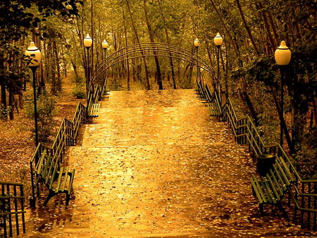 Golden steps in the park