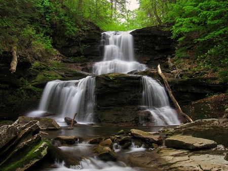 Tuscarora Big - water, falls, forest, trees