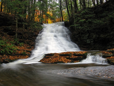 Middle Branch Falls - water, falls, forest, trees