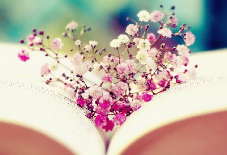 complicated heart - nice, soft, delicate, lovely, book, plants, nature, pretty, petals, flowers