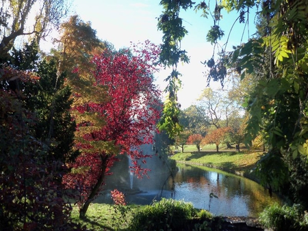 Sefton Park Liverpool Autumn Time