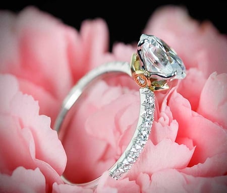 Lucky girl  ~â™¥~ - special, roses, entrainment, wonderful, ring, white, diamond, forever, soft pink, engagement, love, magnificent, lucky girl, fashion, trendy, ocassion, precious, flowers