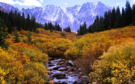 Mountain fields - forest, water, landscape, beauty, grass, plants, river, photography, splendor, fields, nature, mountain, snow, autumn