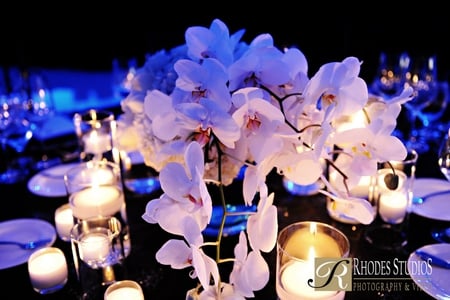 One magic night - lights, wedding, evening, birthday, candles, love, centerpiece, night, christmas, forever, magic, arrangement, entertainment, fashion