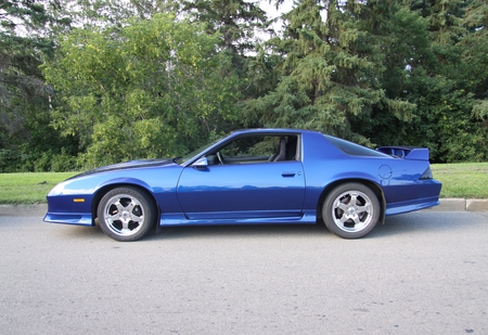 Chevrolet Camero 1991 - trees, tires, blue, silver, green, photography, Chevrolet