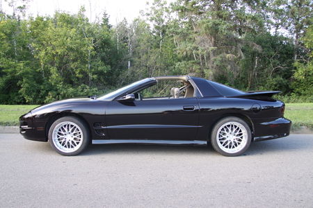 Chevrolet Camero 1998  - chevrolet, trees, photography, black, white, silver, car, tire, green