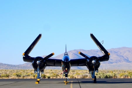 Wings Up - cat, ww2, f7f-3n, plane, f7f, airplane, antique, tigercat, wwii, classic, tiger