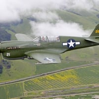 P40 Warhawk