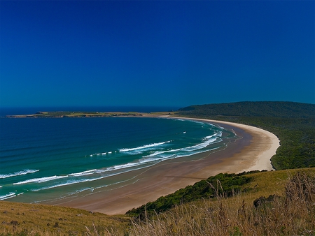 New Zealand Beach - beach, new zealand, blue, water, sand