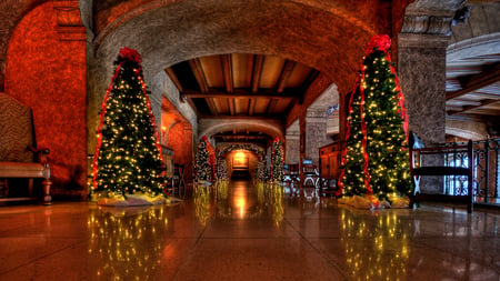 Merry Christmas - pretty, magic, chairs, christmas trees, light, interior, reflection, holiday, magic christmas, ribbon, hall, merry christmas, xmas, trees, ball, happy new year, beautiful, balls, photography, beauty, colors, lovely, architecture, tree, chair, christmas, colorful, christmas tree, lights, new year, bow