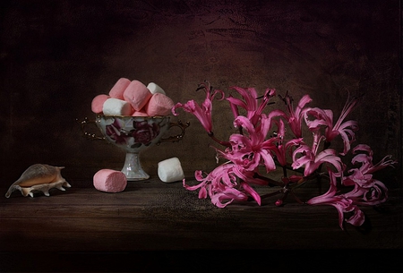 still life - pretty, elegantly, amazing, pink, photo, flowers, shell, nice, gently, delicate, beautiful, photography, beauty, colors, lovely, cool, still life, sweet, flower, bouquet, harmony, candy