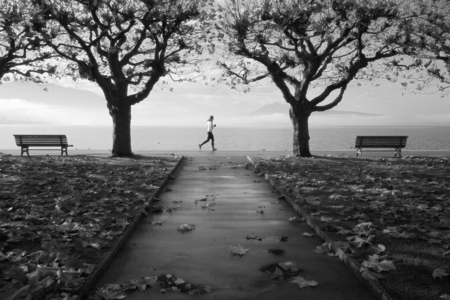 AUTUMN MARATHON - run, sport, sprint, natrue, photography, bw, park, autumn