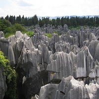 Monument of nature_Petrified forest_China