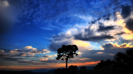 Dramatic Sky - clouds, nature, landscape, tree, sky