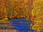 Autumn in Northeast Oregon