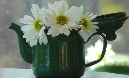 a little green..... - daisies, teapot, still life, green