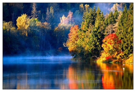 autumn - water, forest fog, lake, plants, morning, nice, river, blue water, trees, nature, autumn, colorful