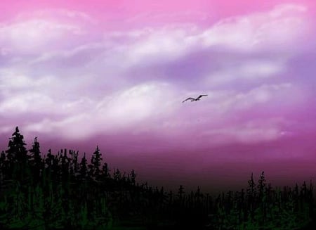 peace - nature, purple, animals, clouds, birds