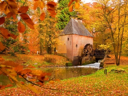 Mill in the forest - autumn, trees, peaceful, watermill, park, mill, fall, forest, leaves