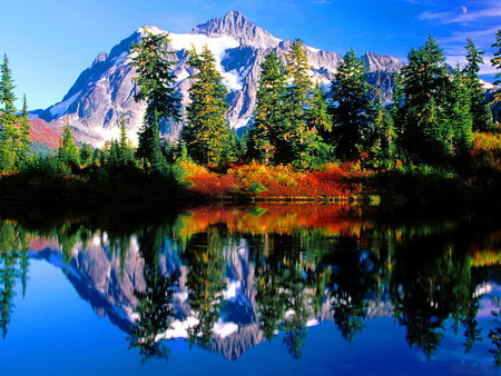 Snowy mountain reflection - trees, water, blue sky, reflection, crystal, mountain, nature, autumn, lake