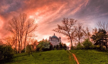 turn to ash - nature, sky, firey, trees, plants