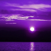 Purple Night