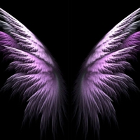 Purple Angel Wings