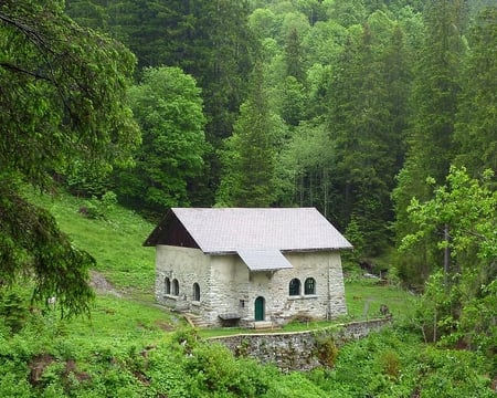 Rosenlaui Hut - forest, trees, hut, grass