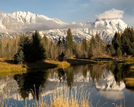 Schwabachers Landing - sky, trees, water, mountain