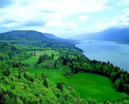 Gorge - gorge, land, trees, water