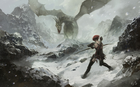 Dragon hunter - 09, hunter, dragon, picture, 2011, 11