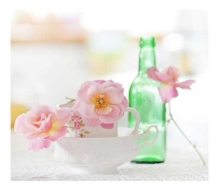 sweet morning - pretty, bottle, lovely, flowers, nature, rose, cute, plants, nice