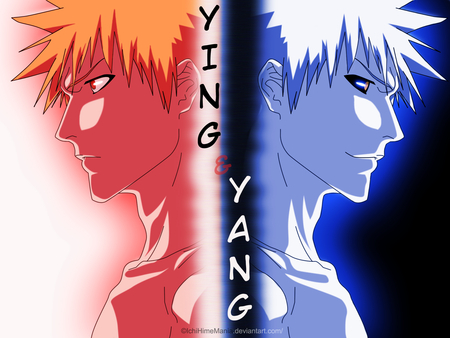 Ichigo and his Hollow - anime, ichigo, kurosaki ichigo, white hair, duo, hollow ichigo, bleach, ichigo kurosaki, orange hair