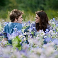 Love in the Meadow