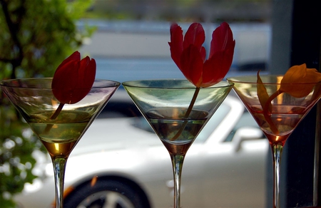 ღ♥ღ Live a life with style ღ♥ღ - luxury, forever, original, beautiful, fashion, lifestyle, sunshine, entertainment, three, life, wonderful, style, tulips, glasses, car, red