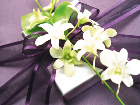 Jasmine Flowers for Patrice (Lioness) - white, purple, fragrant, gift, bow, jasmine, ribbon, flowers