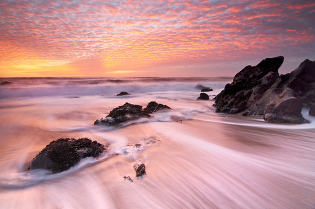 Sunset - nature, beach, sunset, pink