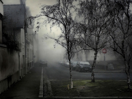 october evening - evening, fog, dark, photography